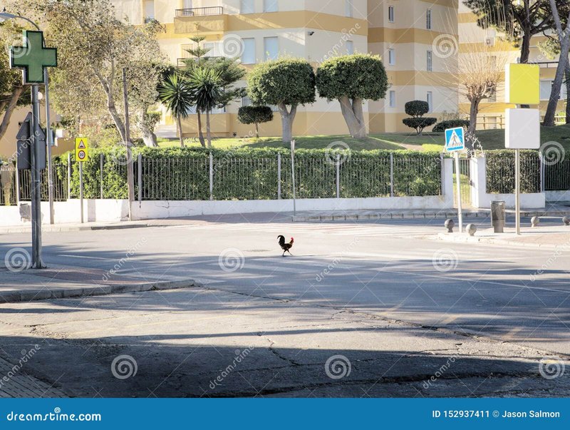 Conoce el Juego de Azar de Chicken Road en España: Todo lo que Necesitas Saber - overview